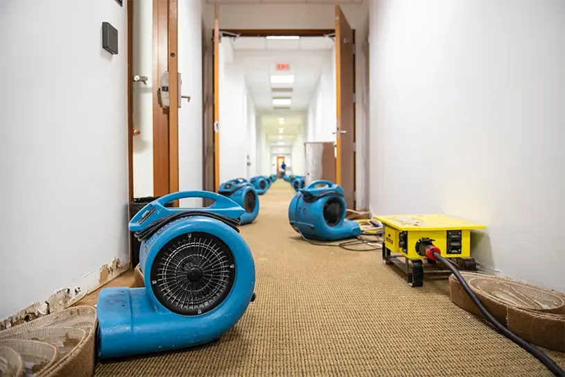 Row of blue air movers drying a carpeted hallway with the baseboards pulled during a Kernersville dry-out