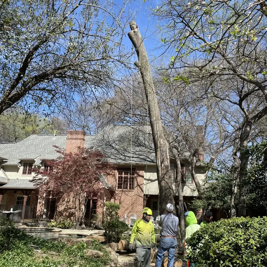 Storm-felled tree leaning against a brick home while a crew works, the kind of damage that opens a roof to rain in Kernersville