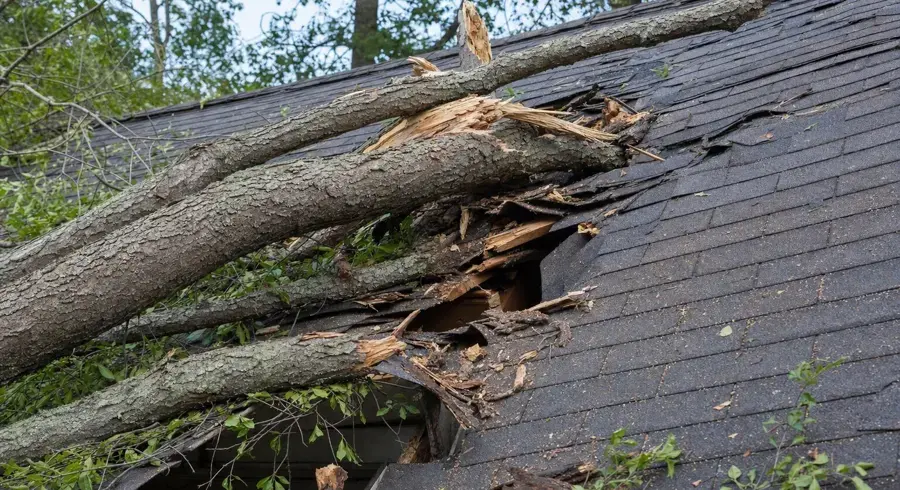 Fallen tree lying across a damaged shingle roof after a storm, letting rain into a Kernersville attic